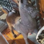 Cuadros_Cuernavaca(35)